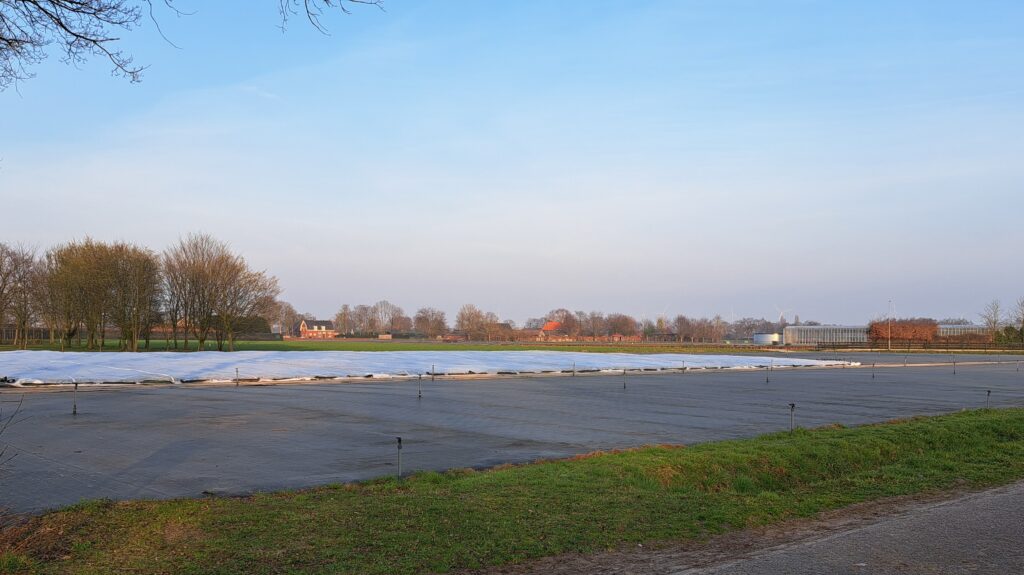 250324 Containerteelt - veld leeg plastic