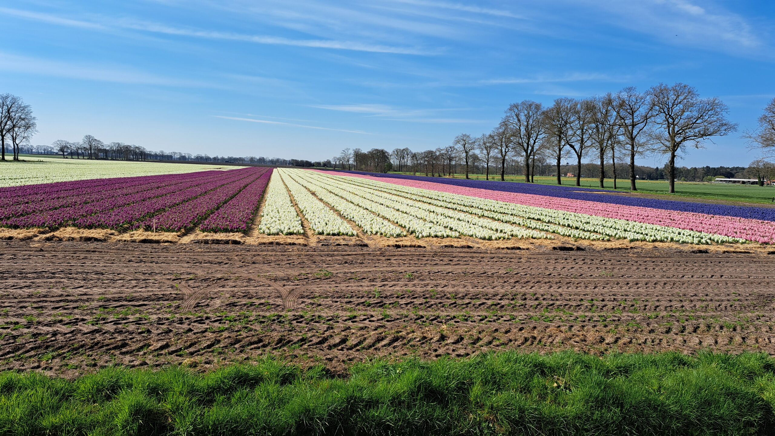 20250402 Monocultuur