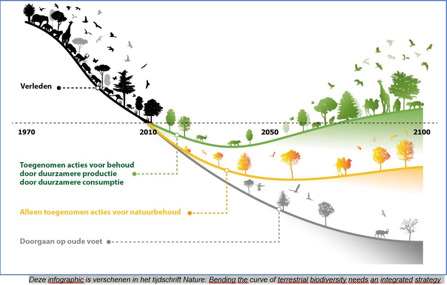Infografic - Bending the curve